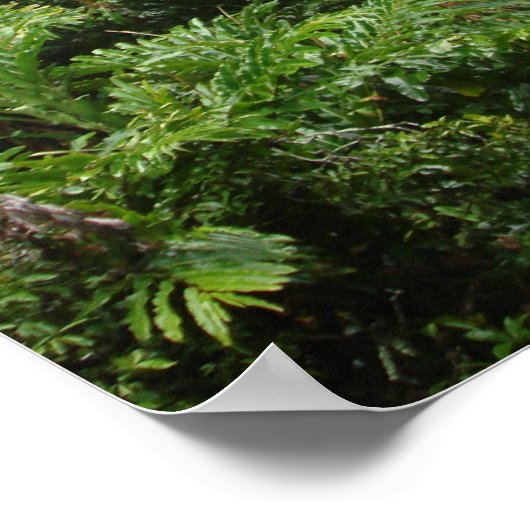 滝 ポスター (角)