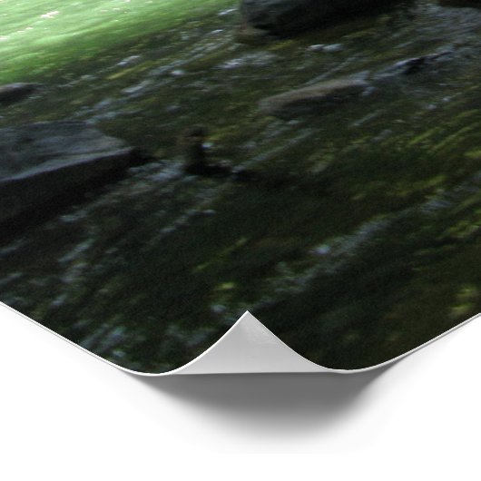 滝 ポスター (角)