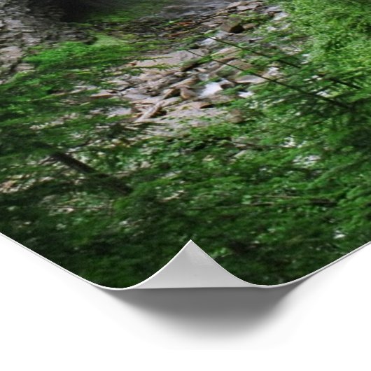 滝 ポスター (角)