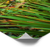 滝 ポスター (角)