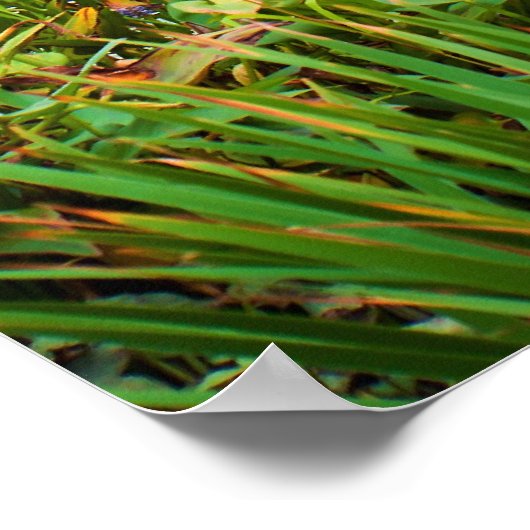 滝 ポスター (角)