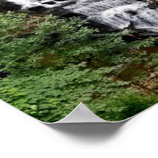 滝 ポスター (角)