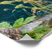 滝 ポスター (角)