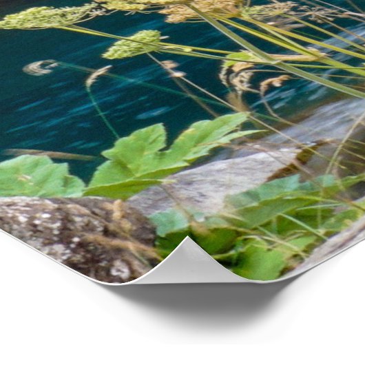 滝 ポスター (角)