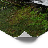 滝 ポスター (角)