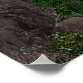 滝 ポスター (角)