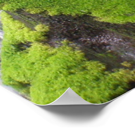 滝 ポスター (角)