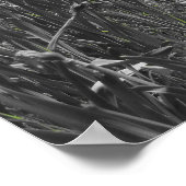 滝 ポスター (角)