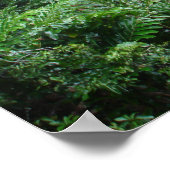 滝 ポスター (角)