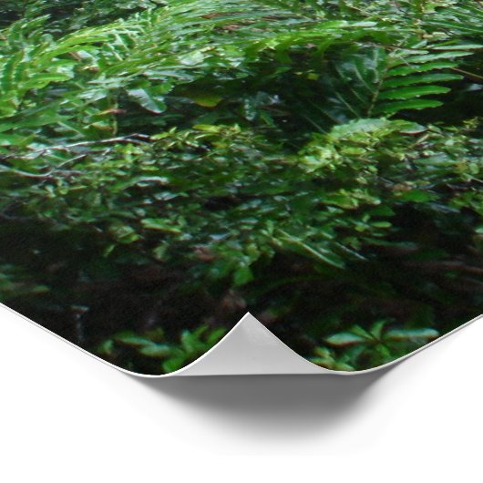 滝 ポスター (角)