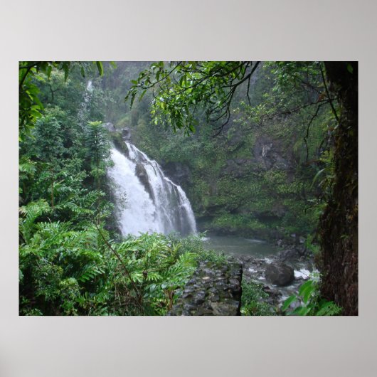 滝 ポスター (正面)