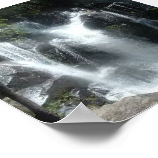 滝 ポスター (角)