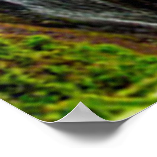 滝 ポスター (角)