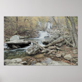 滝 ポスター (正面)