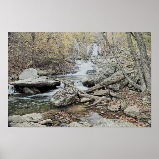 滝 ポスター (正面)