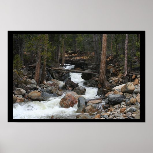 滝 ポスター (正面)