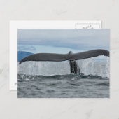 滝 ポストカード (正面/裏面)