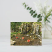 滝 ポストカード (スタンド正面)