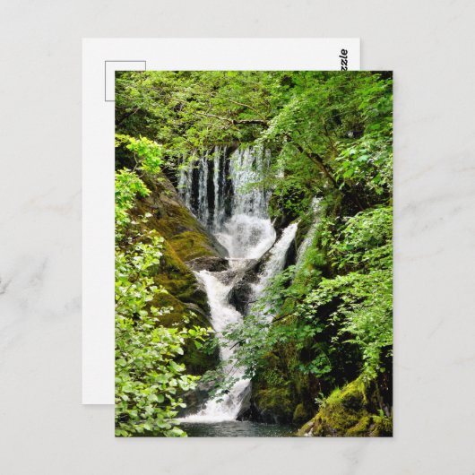 滝 ポストカード (正面/裏面)
