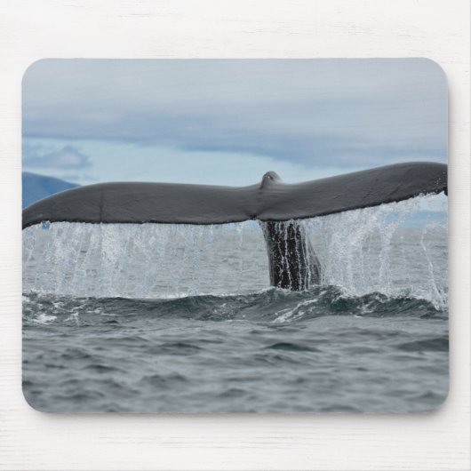 滝 マウスパッド (正面)