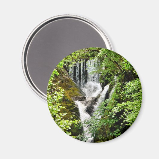 滝 マグネット (正面/裏面)
