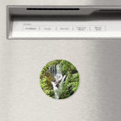 滝 マグネット (インサイチュ (食洗機))