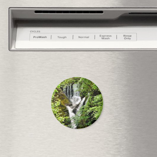 滝 マグネット (インサイチュ (食洗機))