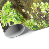 滝 ラッピングペーパー (ロールコーナー)