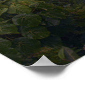 滝 |レインボー滝，ハワイ，ヒロ ポスター (角)