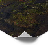 滝 |レインボー滝，ハワイ，ヒロ ポスター (角)