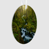 滝 |ワシントン州オリンピック国立公園 オーナメント (正面)