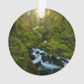滝 |ワシントン州オリンピック国立公園 オーナメント (正面)