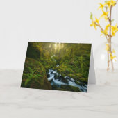 滝 |ワシントン州オリンピック国立公園 カード (黄色い花)