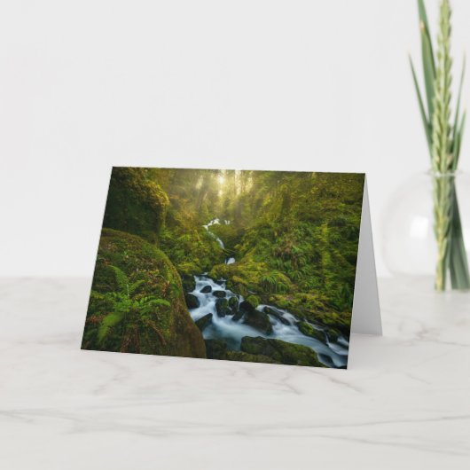 滝 |ワシントン州オリンピック国立公園 カード (正面)
