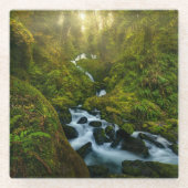 滝 |ワシントン州オリンピック国立公園 ガラスコースター (正面)