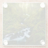 滝 |ワシントン州オリンピック国立公園 ガラスコースター (裏面)