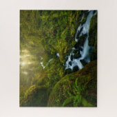 滝 |ワシントン州オリンピック国立公園 ジグソーパズル (縦)