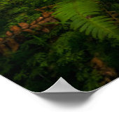 滝 |ワシントン州オリンピック国立公園 ポスター (角)