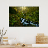 滝 |ワシントン州オリンピック国立公園 ポスター (キッチン)