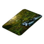 滝 |ワシントン州オリンピック国立公園 マグネット (左側)