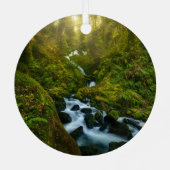 滝 |ワシントン州オリンピック国立公園 メタルオーナメント (裏面)