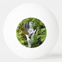滝