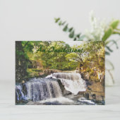 滝 招待状 (スタンド正面)