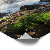 滝（木に囲まれた色16x20） ポスター (角)