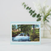 滝，森，スピアフィッシュキャニオン，ブラックヒルズSD ポストカード (スタンド正面)