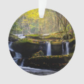 滝 |素晴らしスモークマウンテン国立公園 オーナメント (正面)