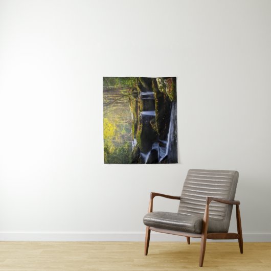 滝 |素晴らしスモークマウンテン国立公園 タペストリー (インサイチュ)