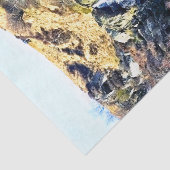 滝 薄葉紙 (詳細)