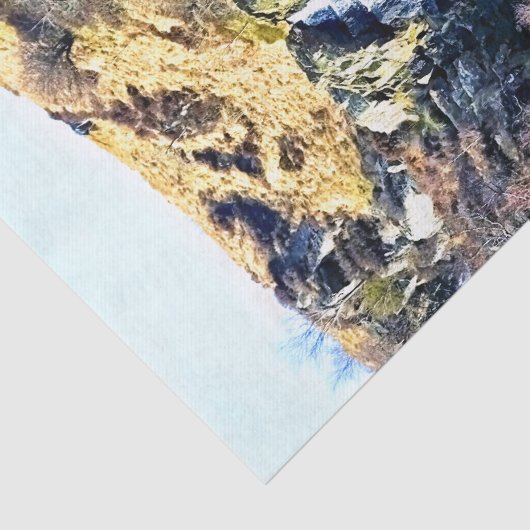 滝 薄葉紙 (詳細)