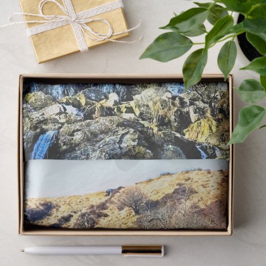 滝 薄葉紙 (ギフト)